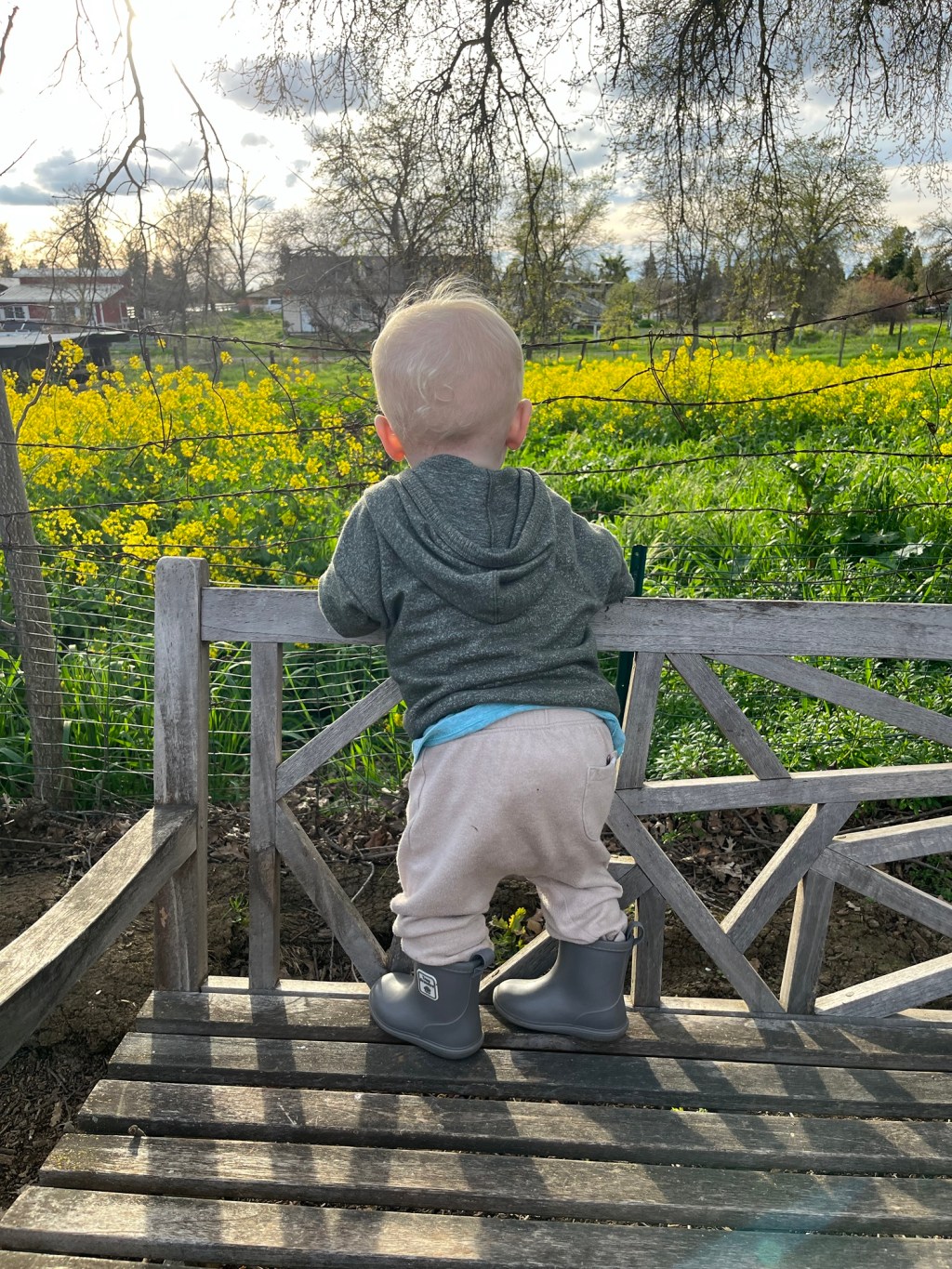 Embracing a New&nbsp;Chapter